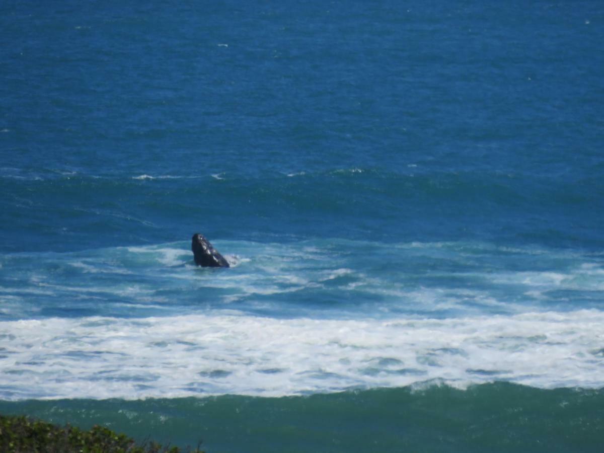 Troon Beach Cottage Hermanus Zewnętrze zdjęcie