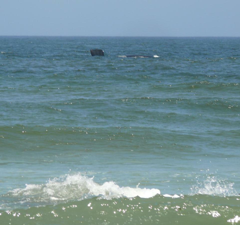 Troon Beach Cottage Hermanus Zewnętrze zdjęcie