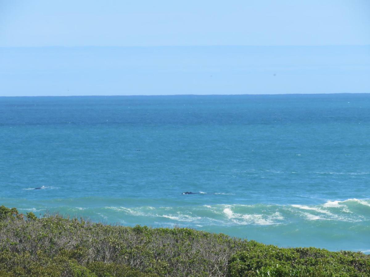 Troon Beach Cottage Hermanus Zewnętrze zdjęcie
