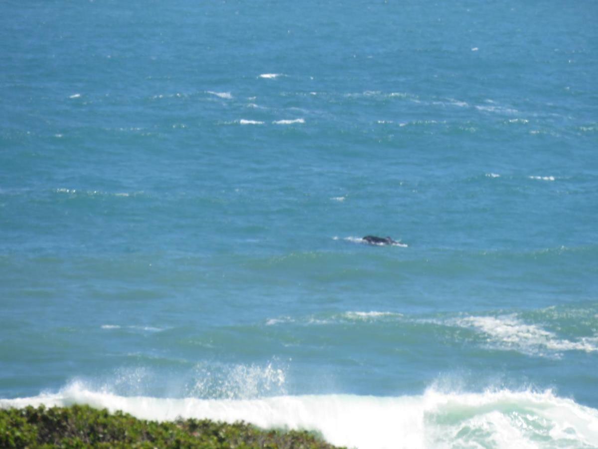 Troon Beach Cottage Hermanus Zewnętrze zdjęcie
