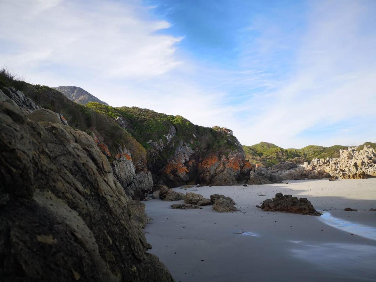 Troon Beach Cottage Hermanus Zewnętrze zdjęcie