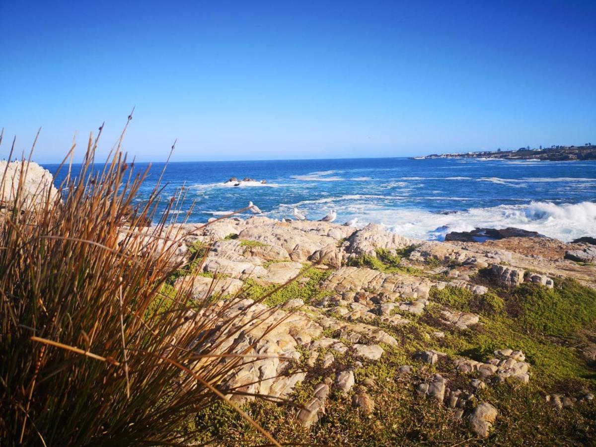 Troon Beach Cottage Hermanus Zewnętrze zdjęcie