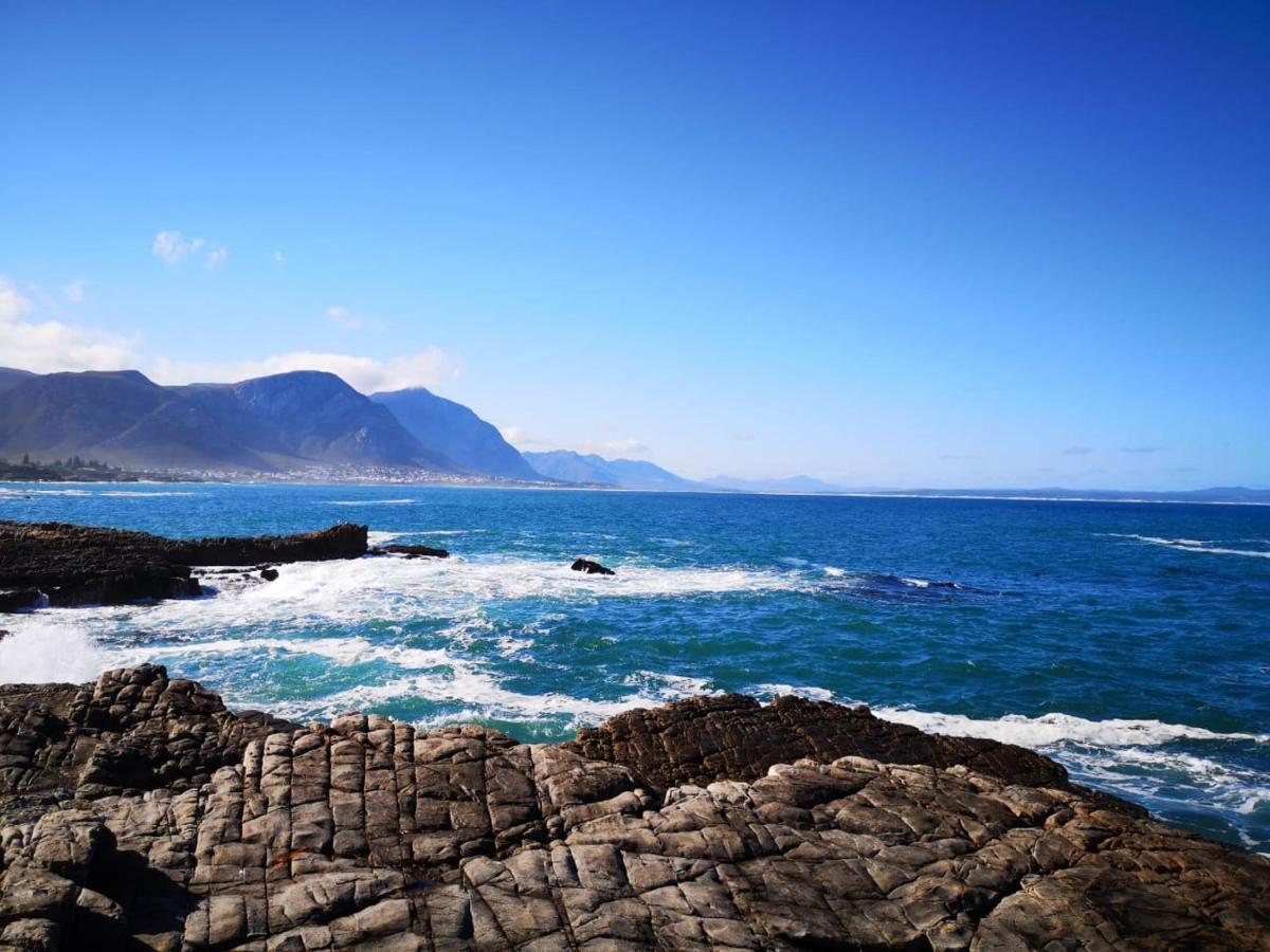 Troon Beach Cottage Hermanus Zewnętrze zdjęcie